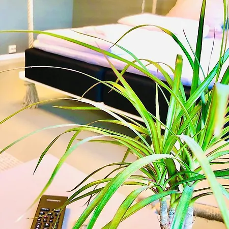 Albergue Eco Camp Norway