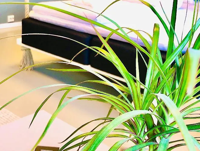 Hostel Eco Camp Norway